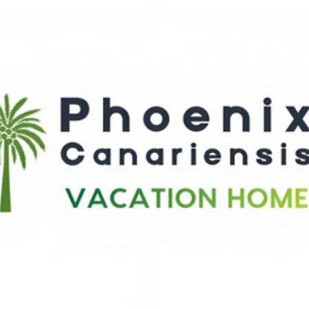 Phoenix Canariensis San Juan de la Rambla Eksteriør billede