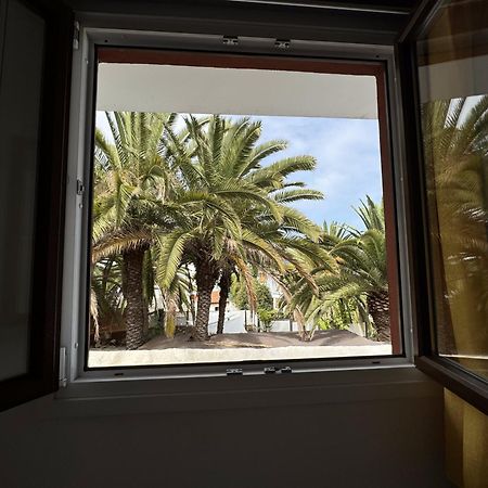 Phoenix Canariensis San Juan de la Rambla Eksteriør billede
