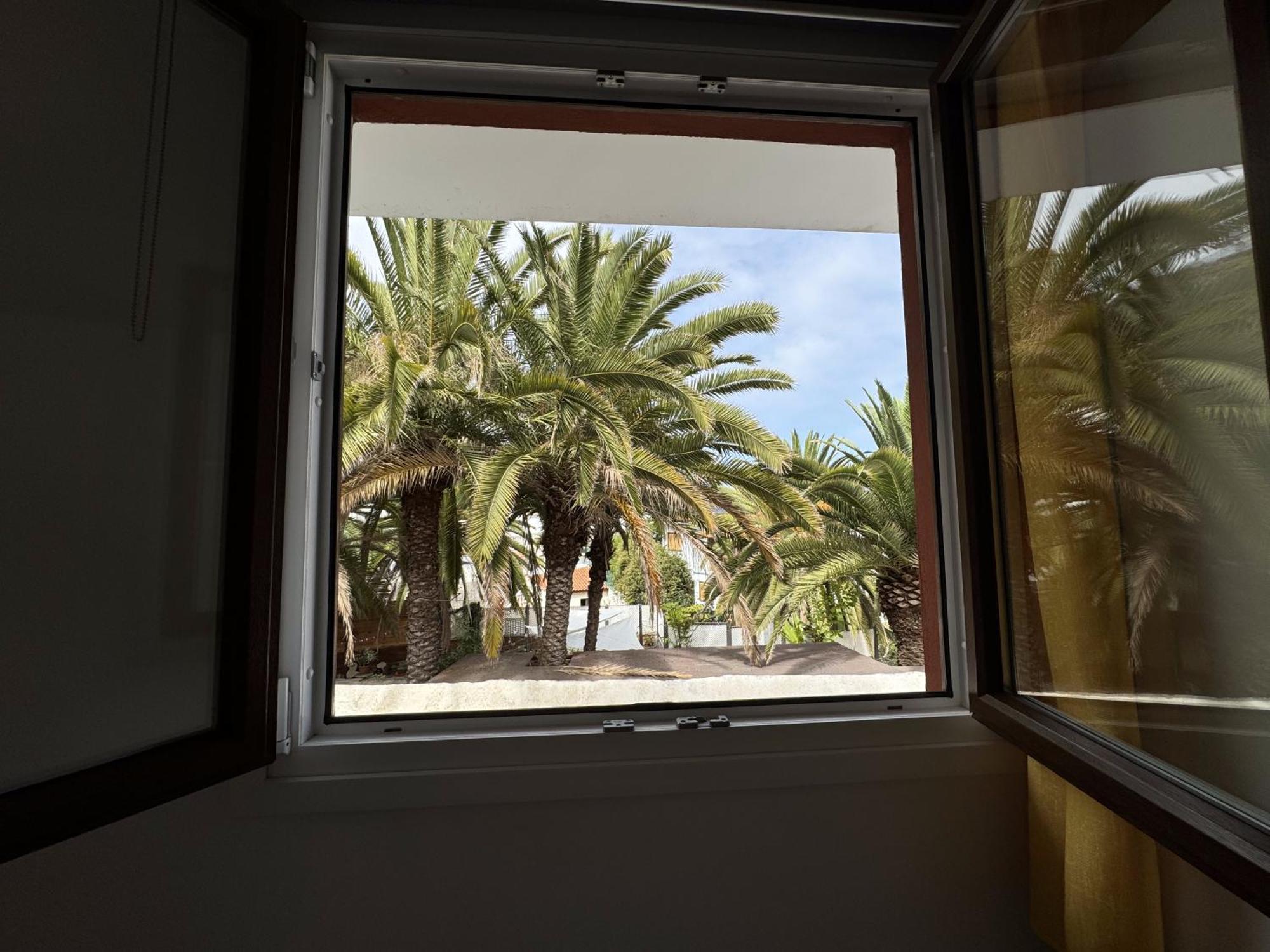 Phoenix Canariensis San Juan de la Rambla Eksteriør billede