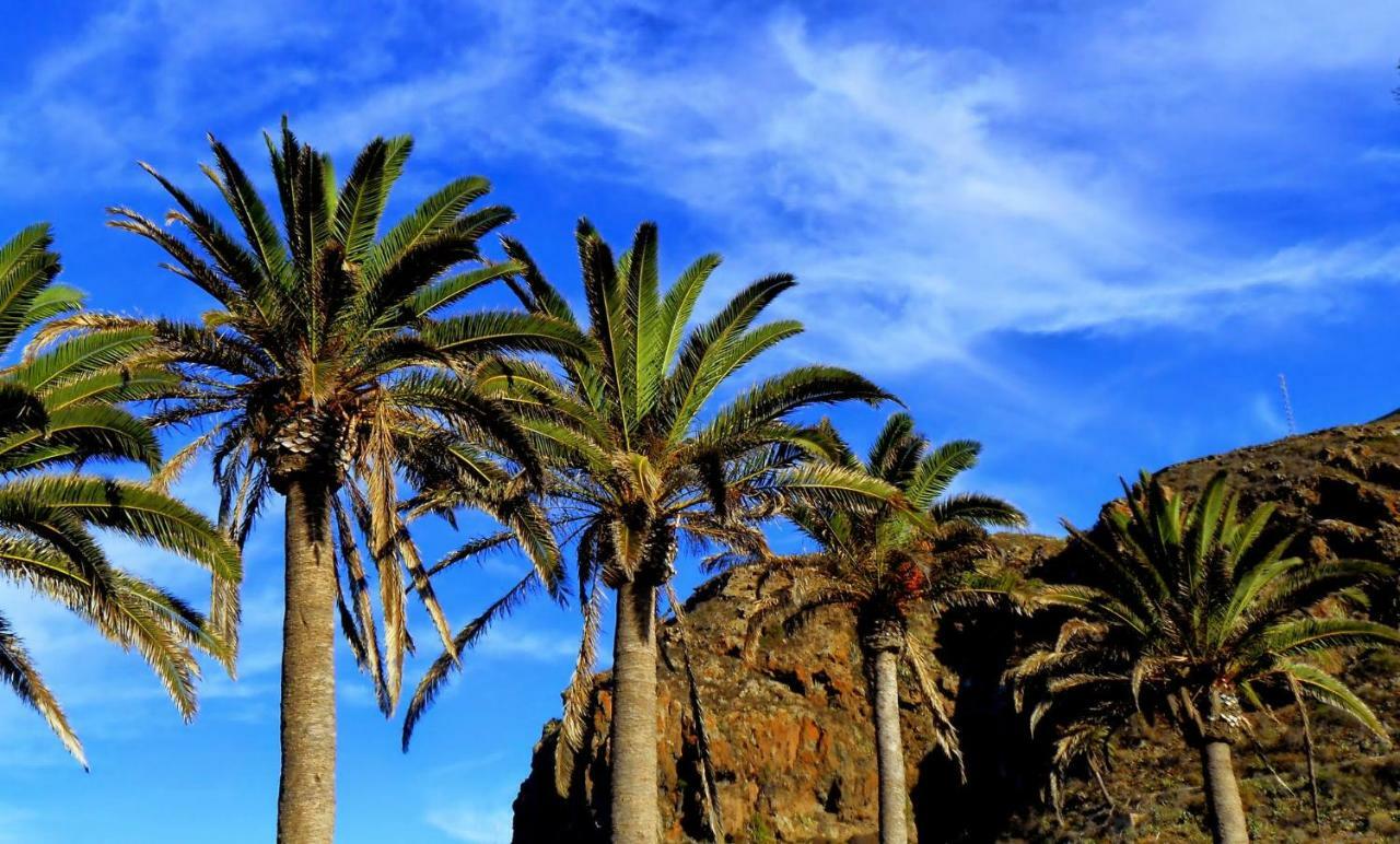 Phoenix Canariensis San Juan de la Rambla Eksteriør billede